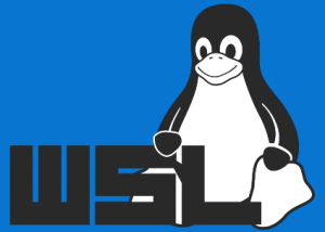 software - Windows Subsystem for Linux Kernel 2 6.6.36.6 screenshot