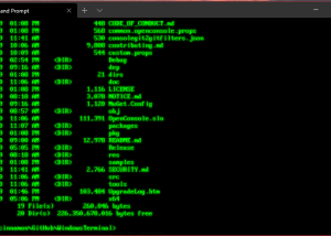 software - Windows Terminal 1.22.10352.0 screenshot