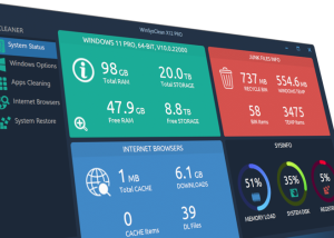 software - WinSysClean X 22.0 screenshot