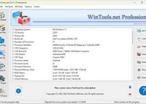 WinTools.net Professional screenshot