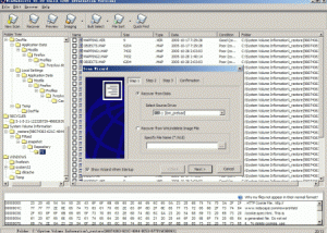 software - WinUndelete 2.20 screenshot