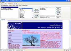 WonderWebWare Template Shaker screenshot