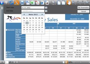 software - WPF Viewer for Reporting Services 3.2 screenshot