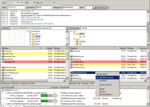 software - X-FileZilla 3.55.1 [rev24] screenshot